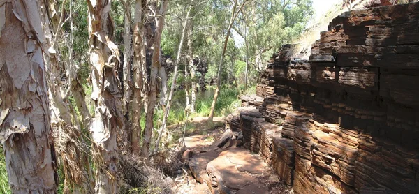 Parque Nacional Karijini, Austrália Ocidental — Fotografia de Stock