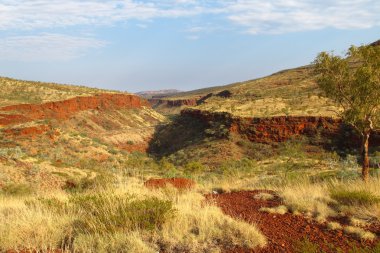 Karijini Milli Parkı, Batı Avustralya