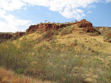 Karijini Milli Parkı, Batı Avustralya