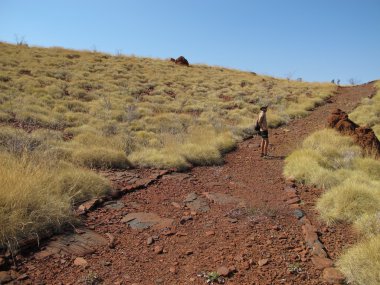 Karijini Milli Parkı, Batı Avustralya