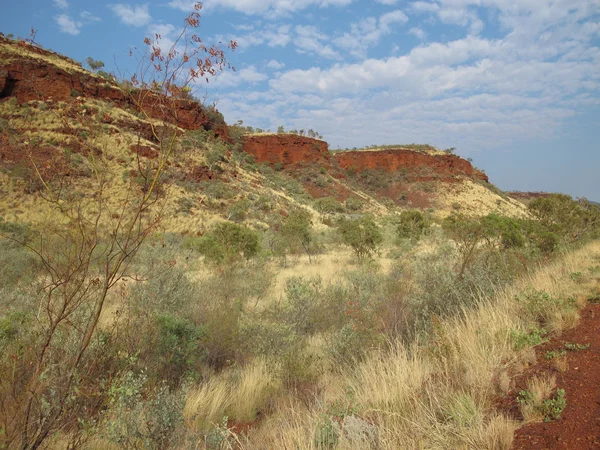 Karijini nationalpark, westaustralien — Stockfoto