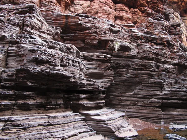 Εθνικό Πάρκο Karijini, Δυτική Αυστραλία — Φωτογραφία Αρχείου