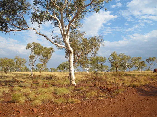 Parque Nacional Karijini, Australia Occidental — Foto de Stock