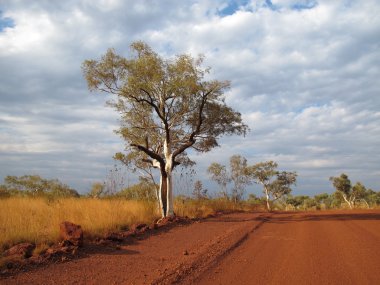 Karijini Milli Parkı, Batı Avustralya