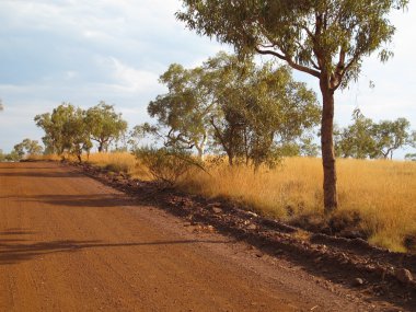 Karijini Milli Parkı, Batı Avustralya