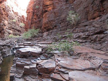 Karijini Milli Parkı, Batı Avustralya
