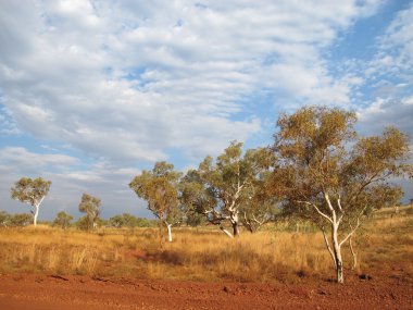 Karijini Milli Parkı, Batı Avustralya