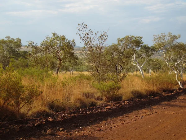 Karijini nationalpark, westaustralien — Stockfoto