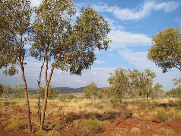 Parque Nacional Karijini, Australia Occidental — Foto de Stock