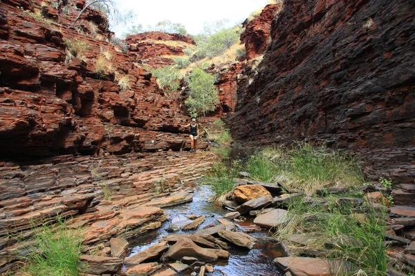 Parque Nacional Karijini, Austrália Ocidental — Fotografia de Stock