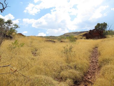 Mount Bruce, Batı Avustralya