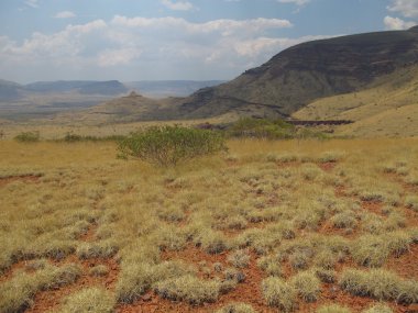 Mount Bruce, Batı Avustralya