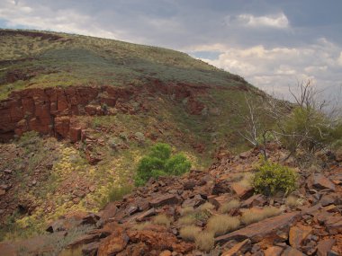 Mount Bruce, Batı Avustralya