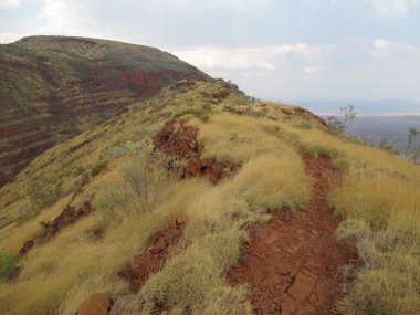 Mount Bruce, Batı Avustralya