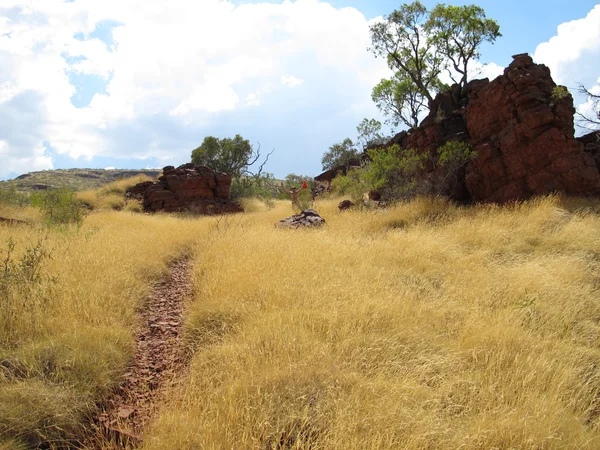 Mount Bruce, Australia Occidental — Foto de Stock