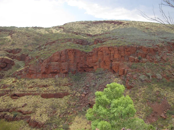 Mount Bruce, Austrália Ocidental — Fotografia de Stock