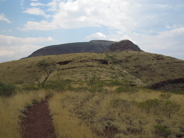 Mount Bruce, västra Australien — Stockfoto