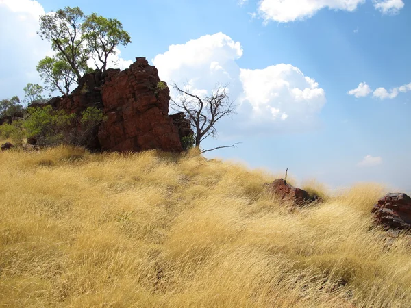 Mount bruce, westaustralien — Stockfoto