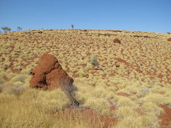 Mount Bruce, Batı Avustralya — Stok fotoğraf