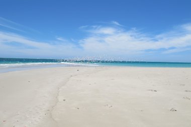 Coral Bay, Batı Avustralya