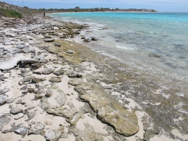 Coral Bay, Batı Avustralya