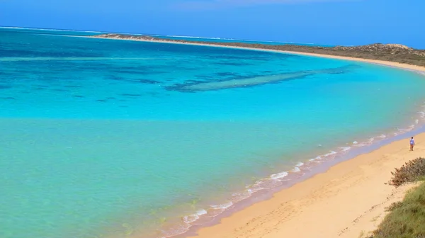 Coral Bay, West-Australië — Stockfoto