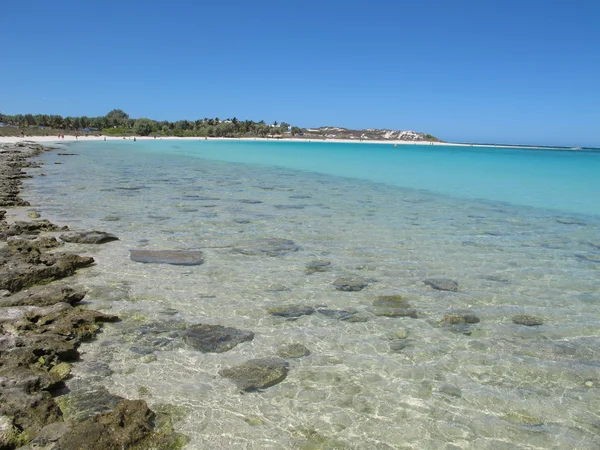 Coral Bay, Austrália Ocidental — Fotografia de Stock