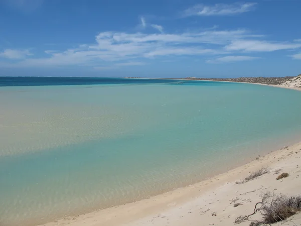 Coral Bay, Australia Zachodnia — Zdjęcie stockowe