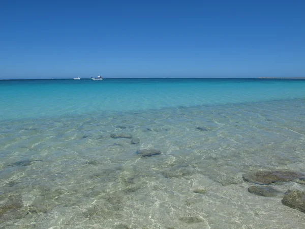 Coral Bay, Batı Avustralya — Stok fotoğraf