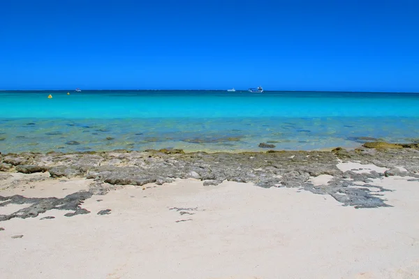 Coral Bay, Australien — Stockfoto
