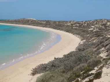 Coral Bay, Batı Avustralya