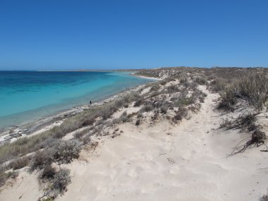 Coral Bay, Batı Avustralya