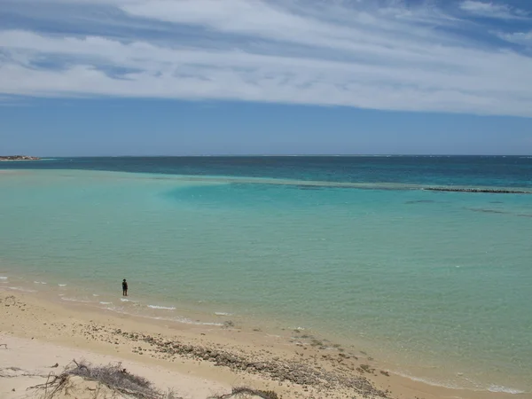 Coral Bay, Batı Avustralya — Stok fotoğraf