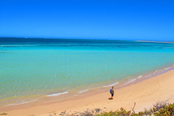 Coral Bay, Australia Occidentale — Foto Stock