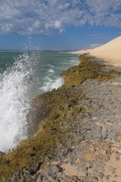 Gnaraloo Station, Australie-Occidentale — Photo