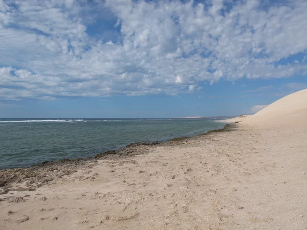 Gnaraloo Station, Australie-Occidentale — Photo