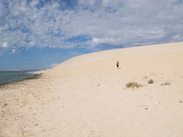 Gnaraloo Station, Australie-Occidentale — Photo