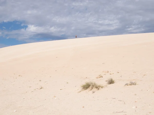 Estação Gnaraloo, Austrália Ocidental — Fotografia de Stock