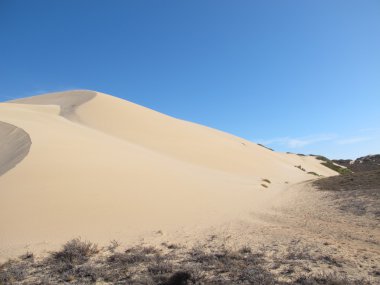Gnaraloo istasyonu, Batı Avustralya