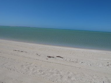 Dik noktası, en batıdaki nokta, Shark Körfezi, Batı Avustralya