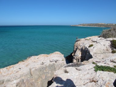 Dik noktası, en batıdaki nokta, Shark Körfezi, Batı Avustralya