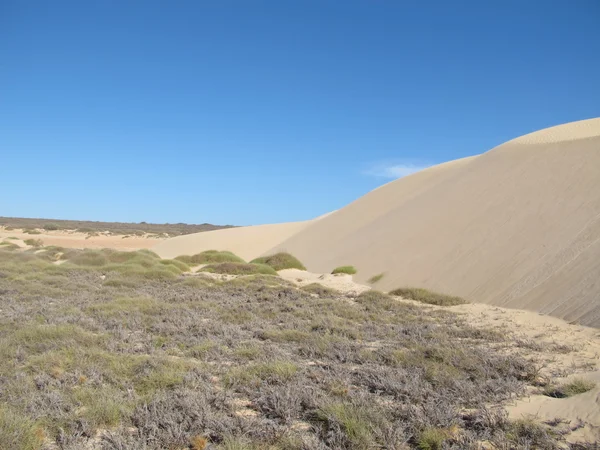 Gnaraloo Station, West-Australië — Stockfoto