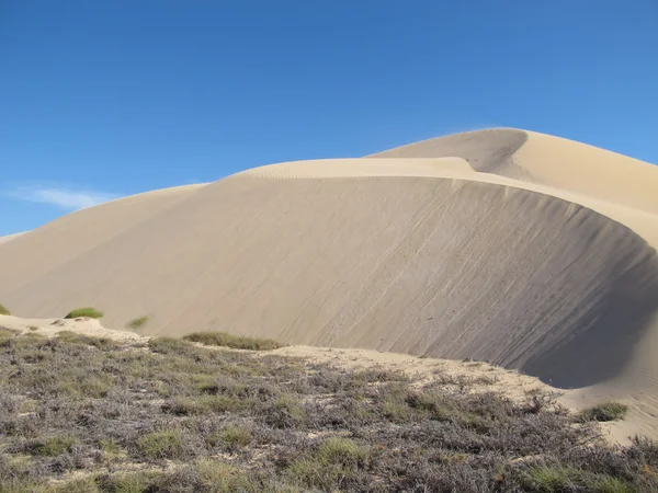 Gnaraloo istasyonu, Batı Avustralya