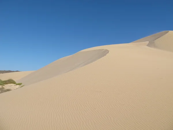 Estación Gnaraloo, Australia Occidental — Foto de Stock