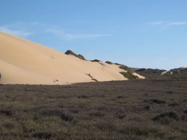 Gnaraloo Station, West-Australië — Stockfoto