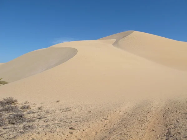 Gnaraloo Station, Western Australia — Stock Photo, Image