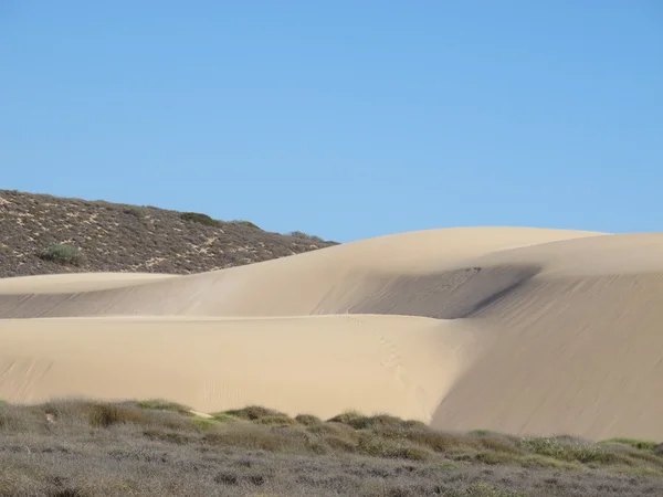 Estación Gnaraloo, Australia Occidental — Foto de Stock