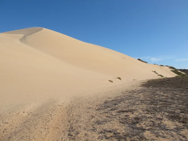 Gnaraloo istasyonu, Batı Avustralya — Stok fotoğraf