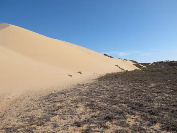 Estação Gnaraloo, Austrália Ocidental — Fotografia de Stock