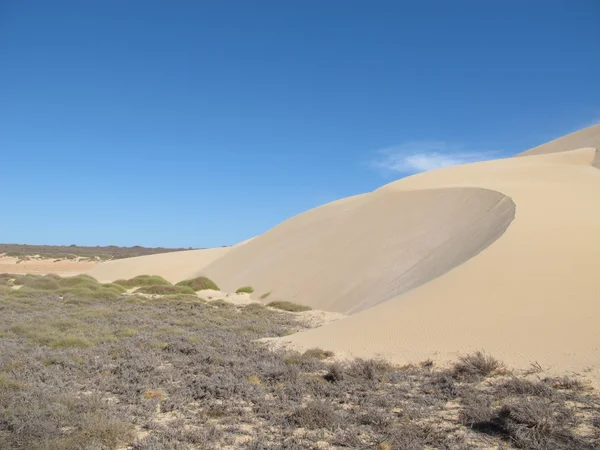 Gnaraloo Station, Western Australia — Stock Photo, Image